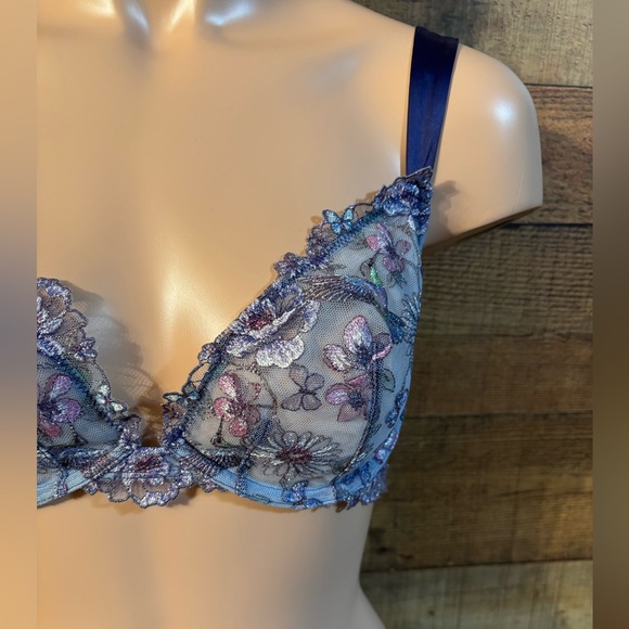 🎀 Victoria's Secret Dream Angels Hummingbird Bra & Panty Set - Picture 5 of 7